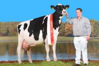 ScH Roxett von Rupert Wenger, Schoenhof in Maishofen